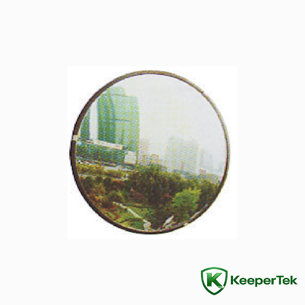 Fisheye-PC voor binnen KT-CAS29